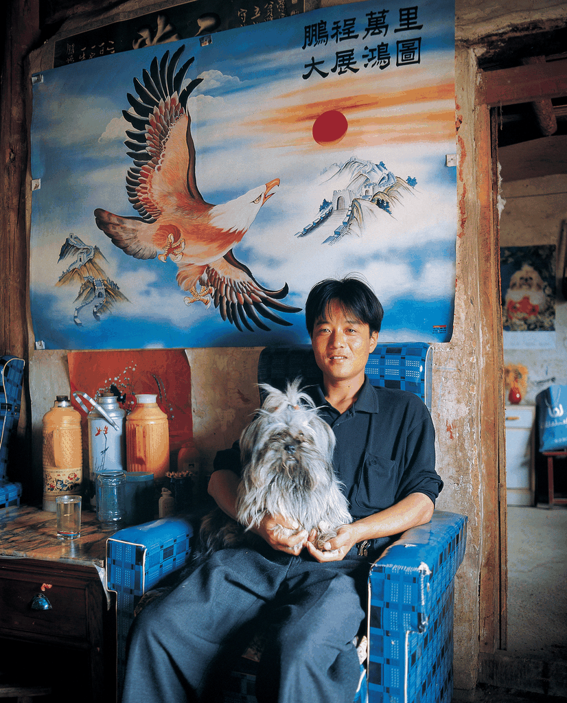 九十年代男子抱狗与海报