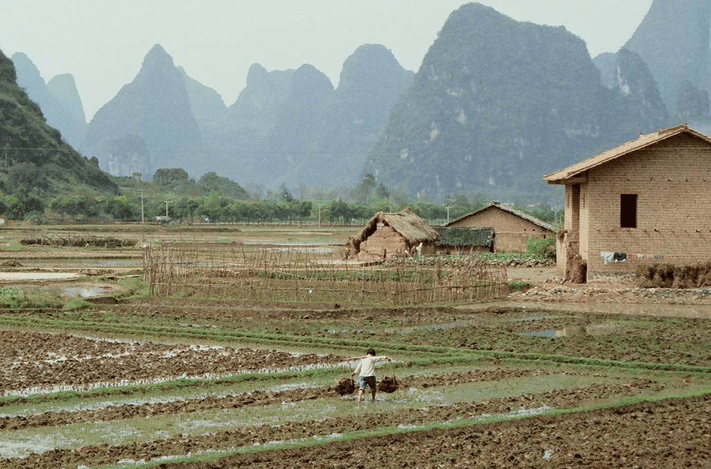 老照片：广西乡村农耕景象