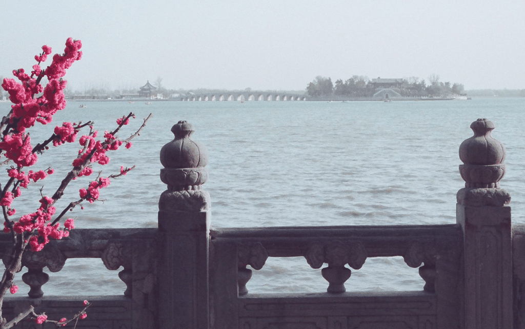 颐和园十七孔桥与春花