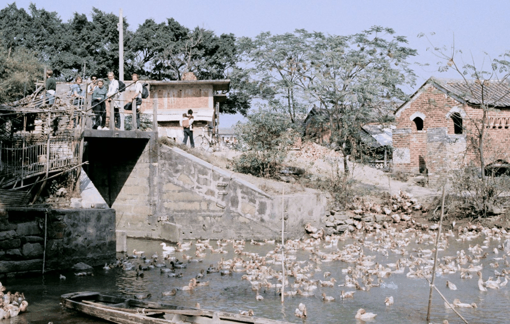 岭南水乡的开放瞬间