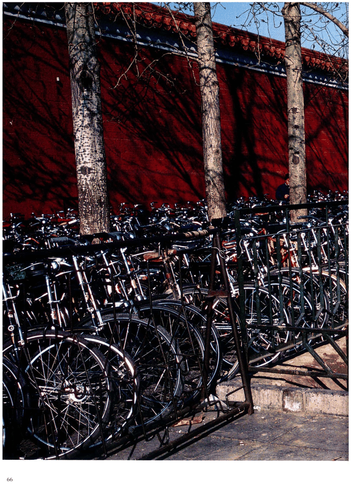 红墙下的自行车群