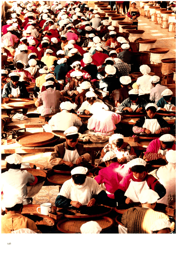 忙碌的茶叶分拣车间