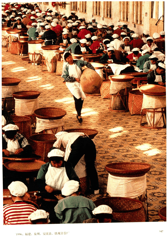 1996年福建安溪铁观音茶厂