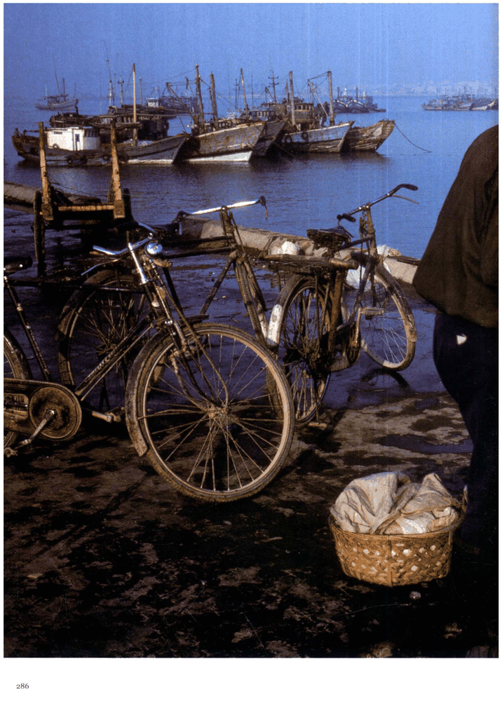 海港边的自行车与渔船