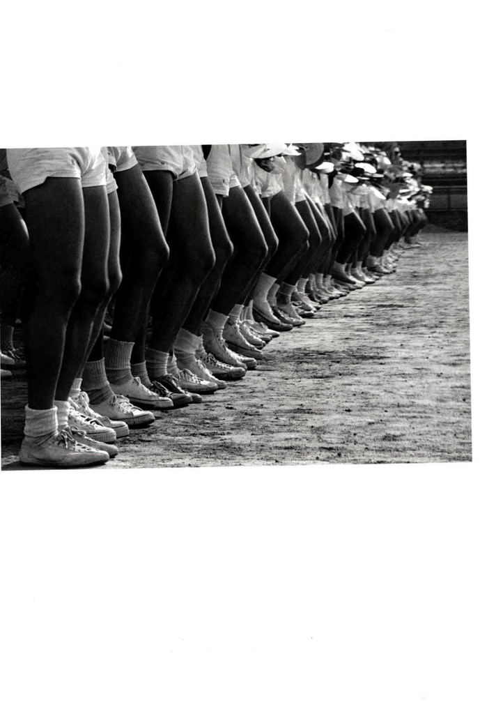 起跑线上的青春