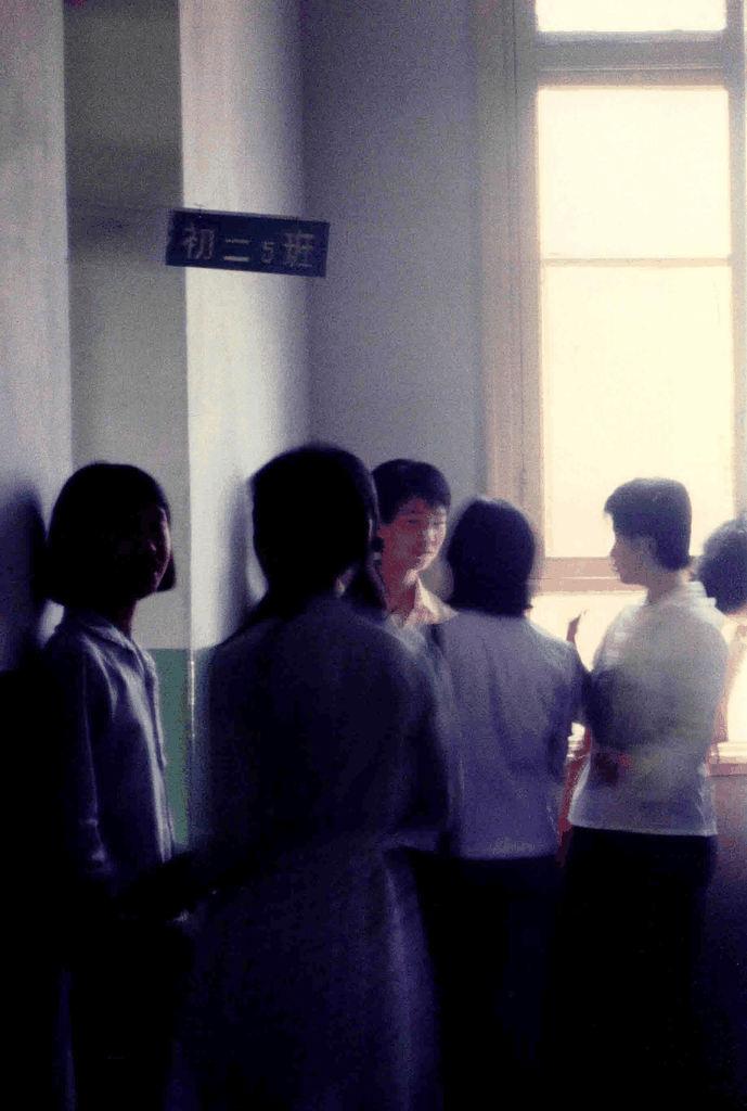 初二五班的午后：光影里的少年时代