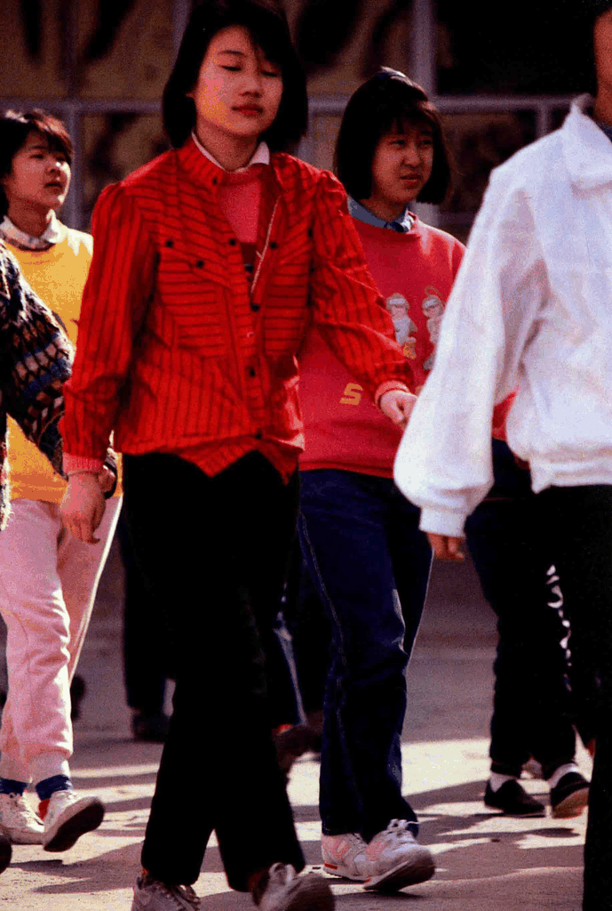 泛黄的时光标本